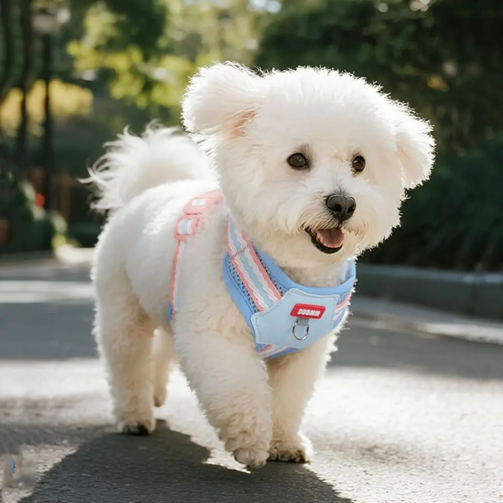 

Escape Proof Dopamine Dog Harness Quicklace Comfortable Pet Chest Strap Adjustable Breathable Pet Walking Vest Outdoor Walking