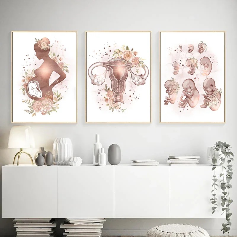 Female Anatomy Fertility Pregnancy Posters Prints Canvas Painting Wall Art Picture Gynecology Obstetrics Decoration Mural Gift view 2