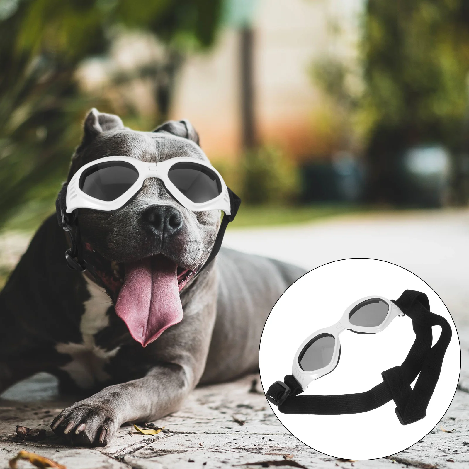 

Pet Sunglasses for Small Medium Large Breeds Uv Protection Foldable Dog Goggles Adjustable Straps Waterproof Windproof