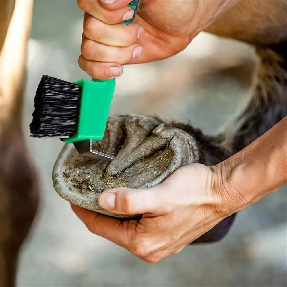 1Pcs Nylon Bristle Horse Hoof Brush Metal Random Color Hoof Cleaning Tool Comfortable Grip Anti-Slip Horse Grooming Tool
