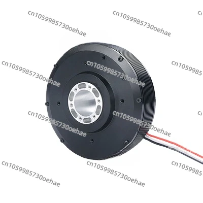 PM100 High Torque Hollow Brushless DC Motor High Performance 24V