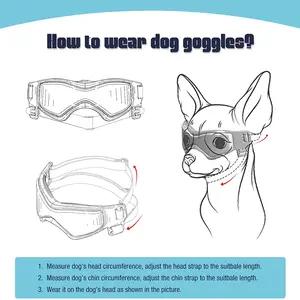 gözlerde 8 büyük satış, köpek no. 5