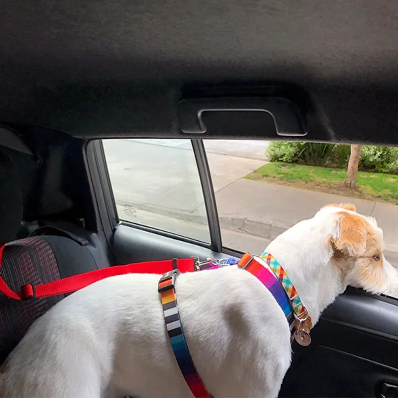 Dois-em-um ajustável carro cinto de segurança para gatinhos e cães, chumbo trela, BackSeat cinto de segurança, coleira, Pet acessórios