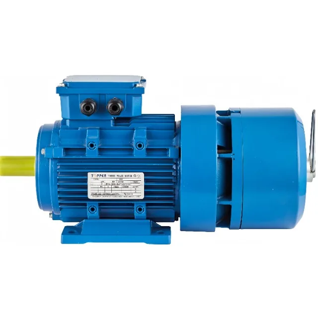 YEJ2 SERIES THREE-PHASE ELECTROMAGNETIC-BRAKE AC/DC MOTOR