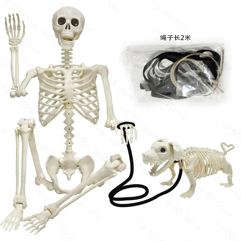 Halloween dog skeleton man 90/165cm skeleton horror trick scene haunted house secret room decoration props