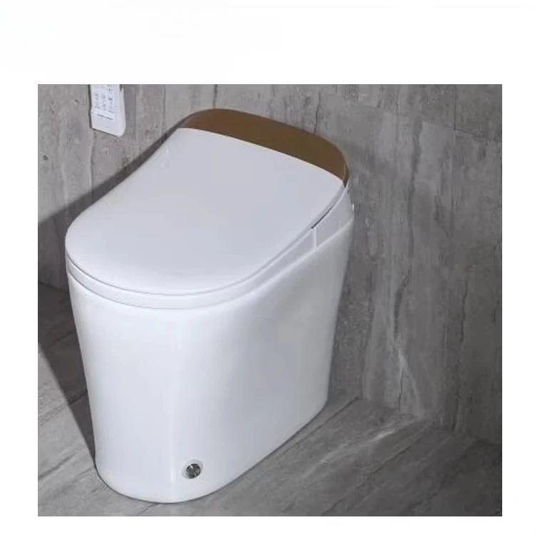 Deodorization Dual Nozzles Sanitary Ware Intelligent Smart Toilet