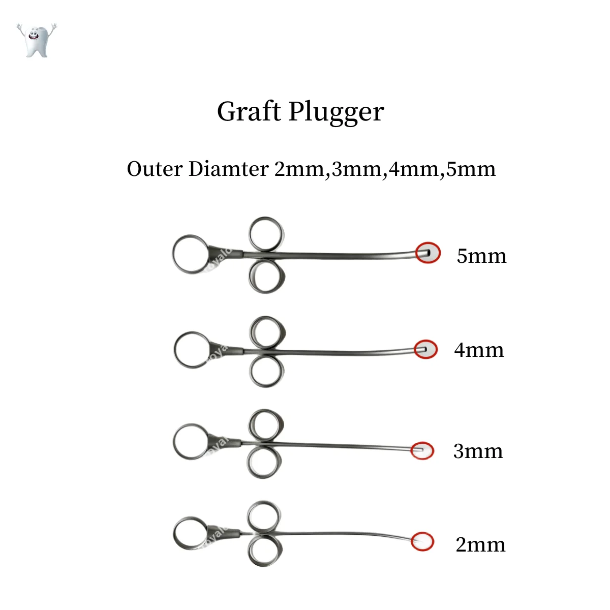 Dental Bone Graft Plugger Implant Grafting Thin Thick Wholesale 2/3/4/5mm