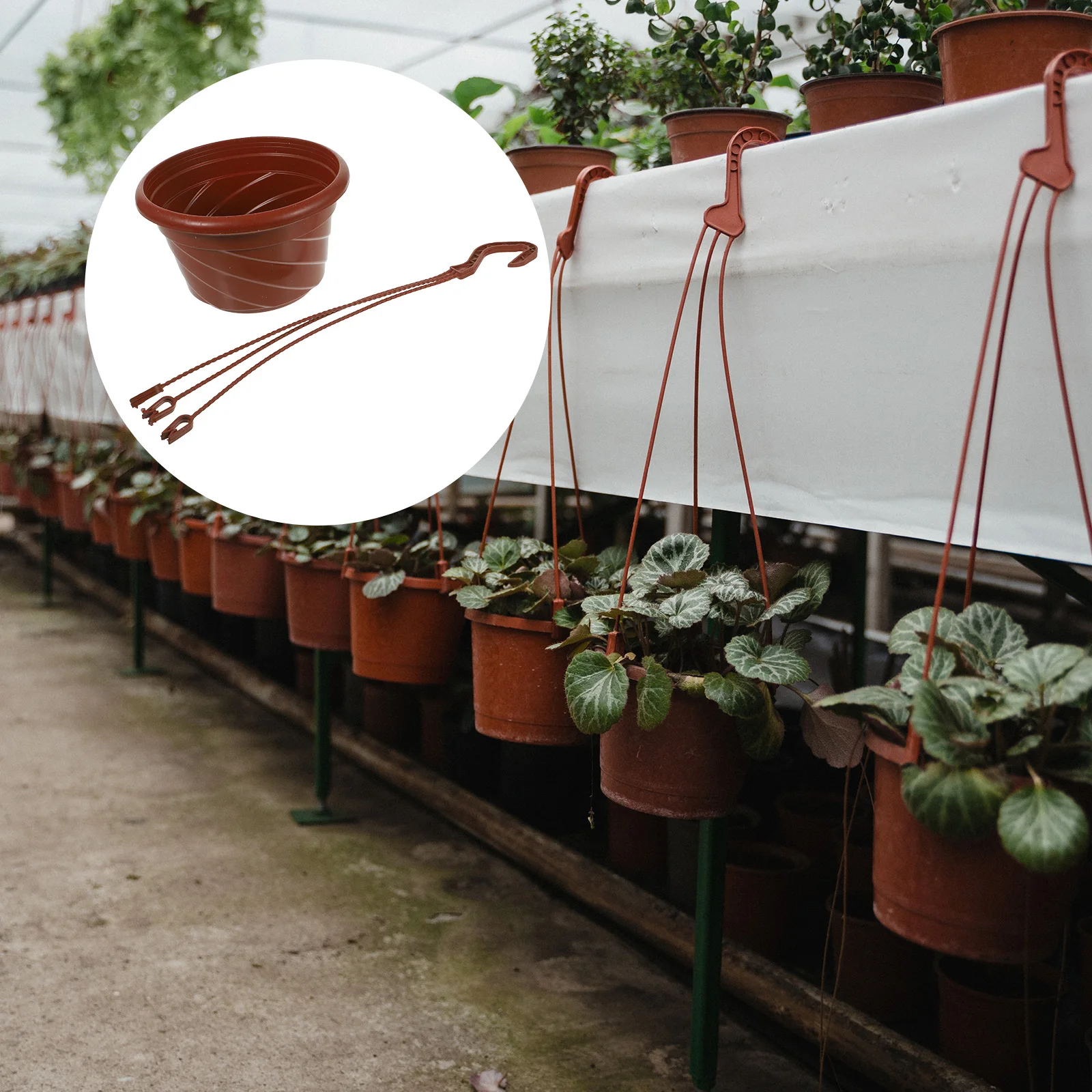 

3 Pcs Chlorophytum Flower Pot outside Hanging Planter Baskets for Plants Indoor Pots Succulents Nursery with