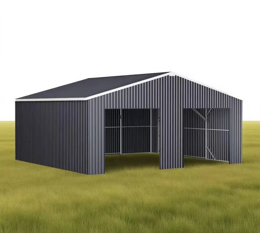 CG2533-H305-2ER/H Hot Car Garage Metal Building Garage Metal Car Garage