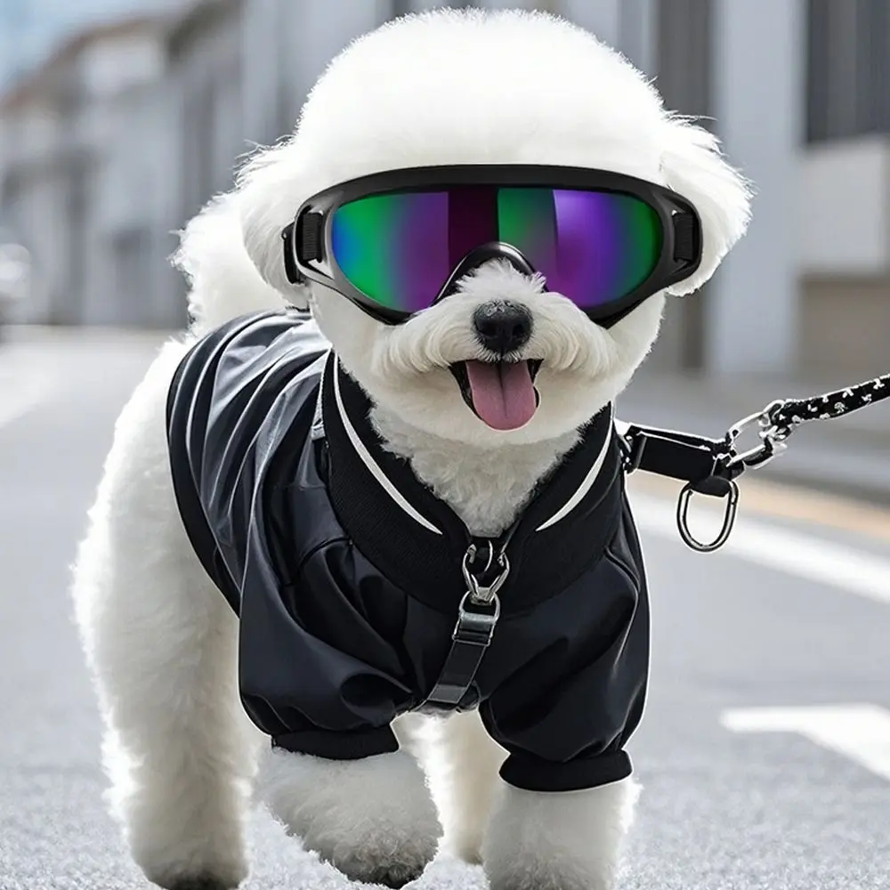 

Summer Style Dog Goggles Adjustable Strap UV Protection Protective Eyewear Breathable Comfortable Fit Pet Sunglasses