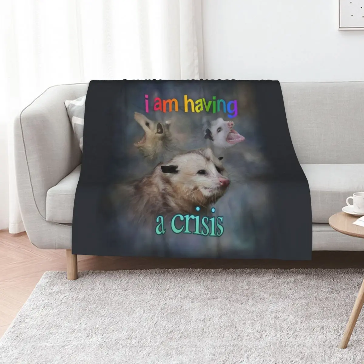 

I am having a crisis possum word art Throw Blanket Retros Large Furrys Softest Blankets