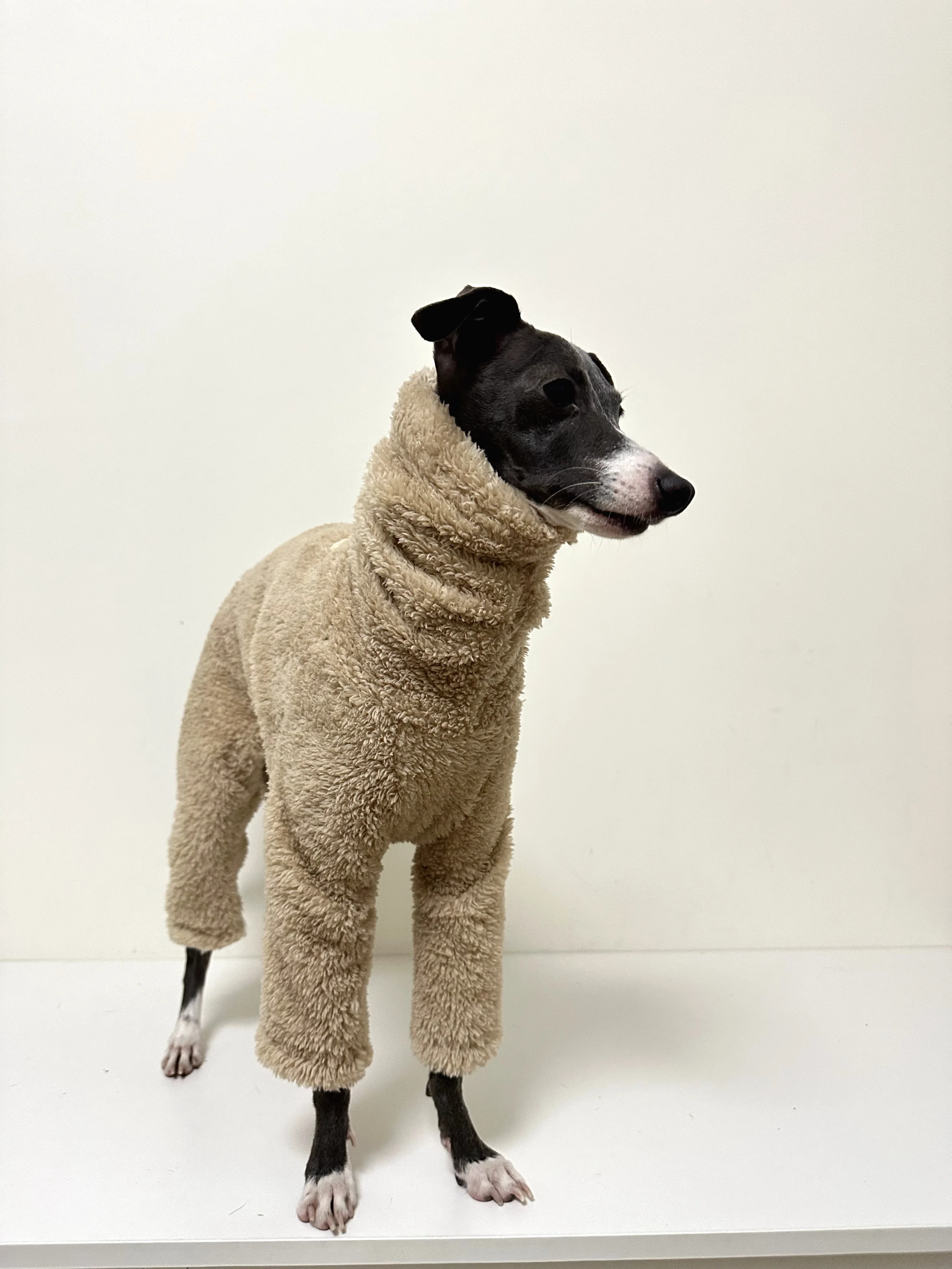 Winter Four-legged Italian Greyhound Dog Clothes Double Side Whippet High Collar Brown Jumpsuit for Small Media Large Dogs