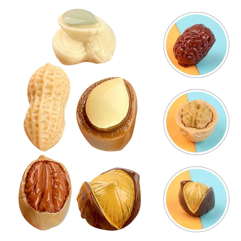 

15 Pcs House Mini Simulated Nut Snack Toy Decor Resin Nuts Miniature Peanut