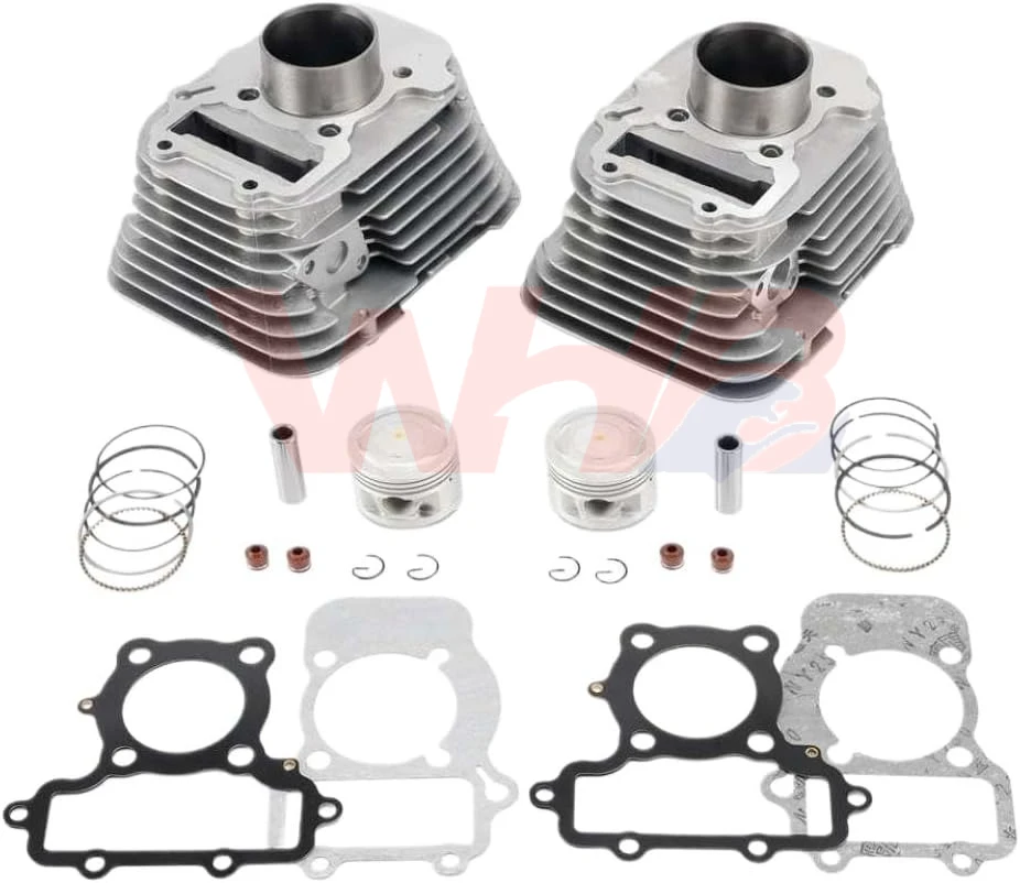 

49mm Engine Cylinder Kit Motor for Yamaha Virago XV250 V Star 250 Route 66 Qianjiang QJ250-H QJ250-L Keeway Cruiser 250 2V49FMM