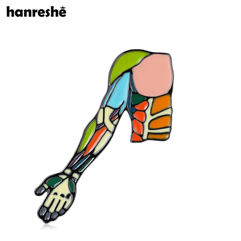 Hanreshe Medical Arm Muscle Brooch Anatomy Colorful Enamel Pin Backpack Lapel Badge Biology Jewelry for Doctor Nurse