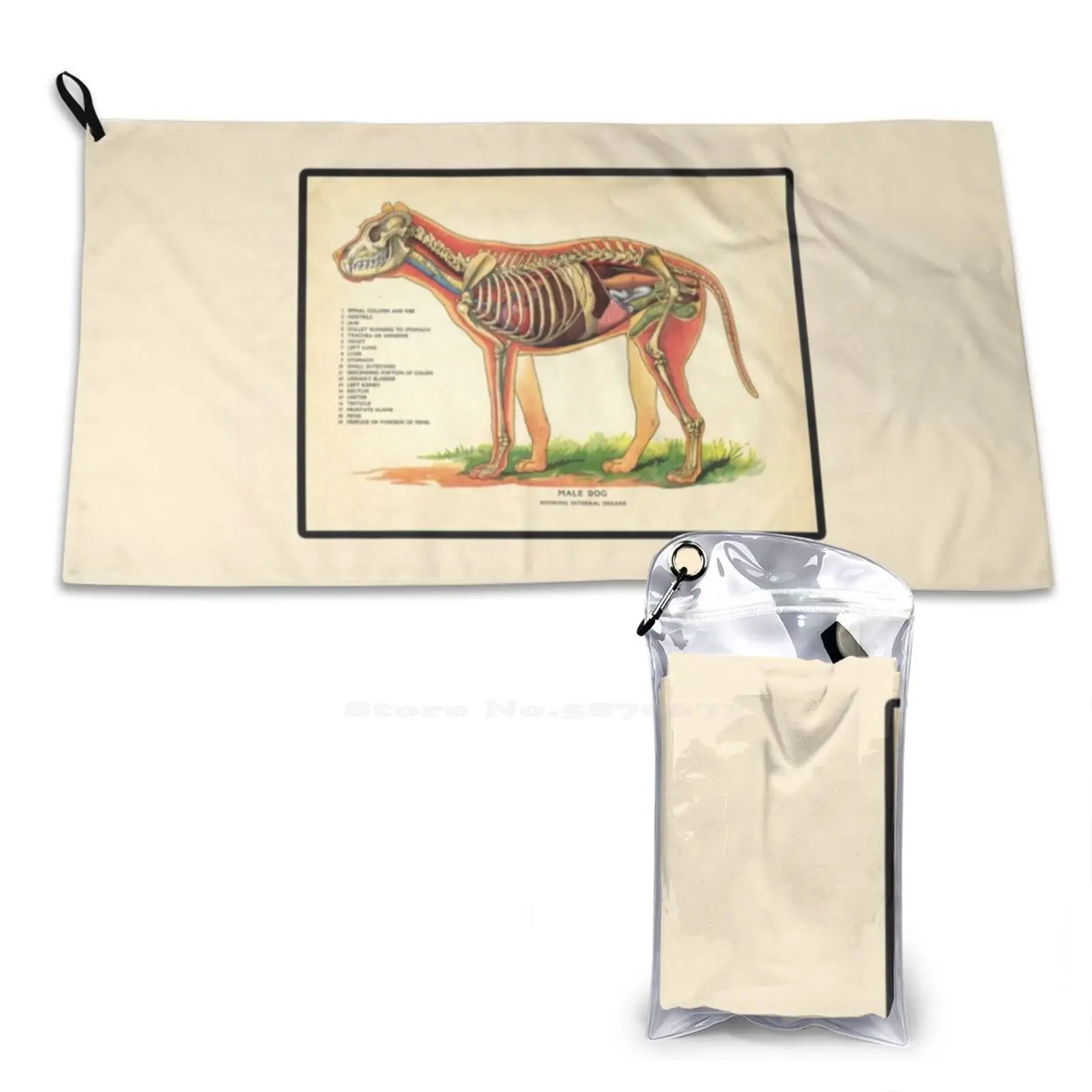 

Винтажное ветеринарное школьное мягкое полотенце с таблицей анатомии собак быстросохнущее пляжное полотенце винтажное цветное ветеринарное полотенце с таблицей животных в стиле ретро