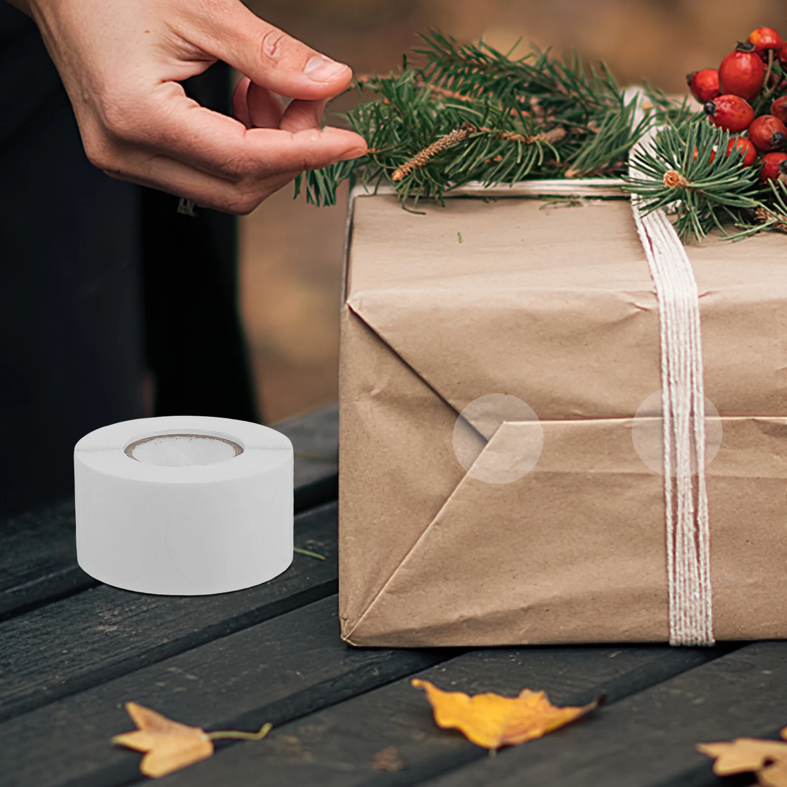 2 Rolls Transparent Sealer Clear Bags Square Sealing Labels Round Stickers for Circle Dot Envelope Coding Paper