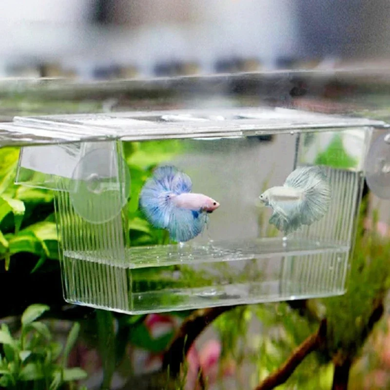 New Transparent Acrylic Fish Tank Breeding Isolation Box Aquarium Hatchery Incubator Holder Accessories Supplies