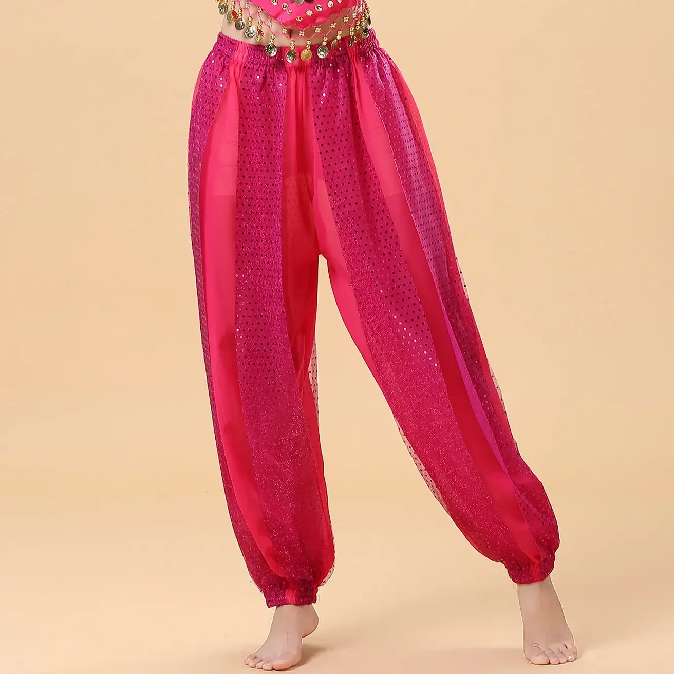 Indian Dance Performance Showcases Training Pants  Ethnic Dance New Adult Belly Dance Chiffon Practice Clothing Highlights Pants