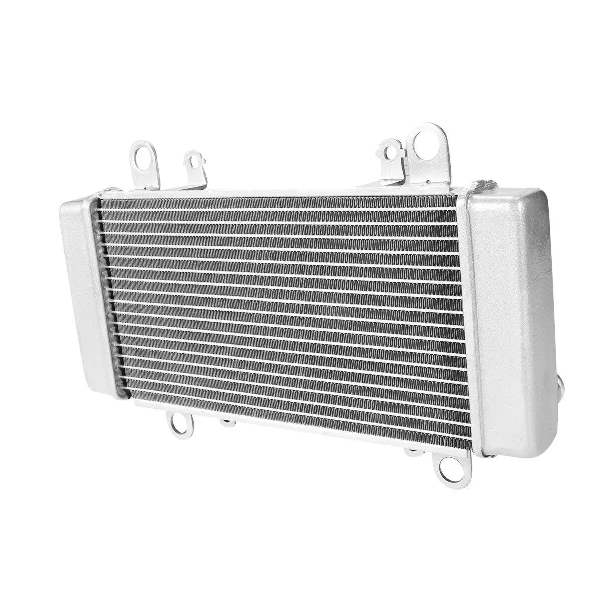 Suitable for Motorcycle Radiator Assembly NINJA300 EX300 Water Tank 2013-17 Engine Cooling