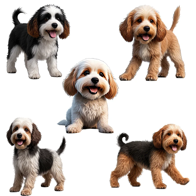 Three Ratels CG203 Havanese Dog wall Animal Stickers for Home Decoration Children's Place Stickers