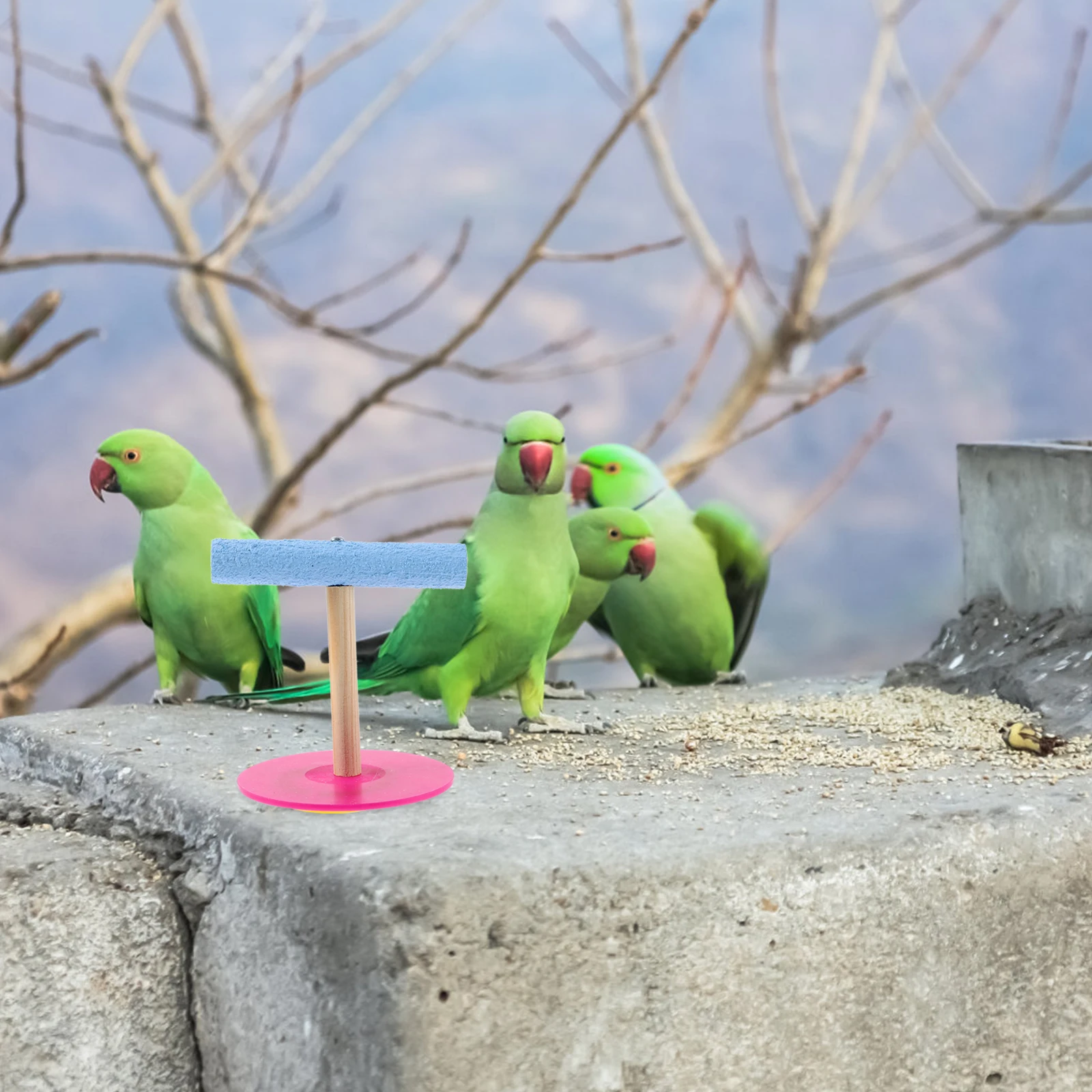 

Bird Training Stand for Parrot Portable Plaything Pet Birds Bowl Wooden Parrots