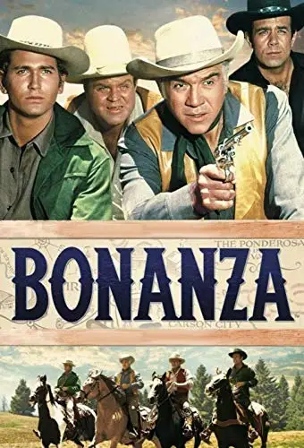 Blechschild – Bonanza Retro Wall Home Bar Pub Vintage Cafe Decor,