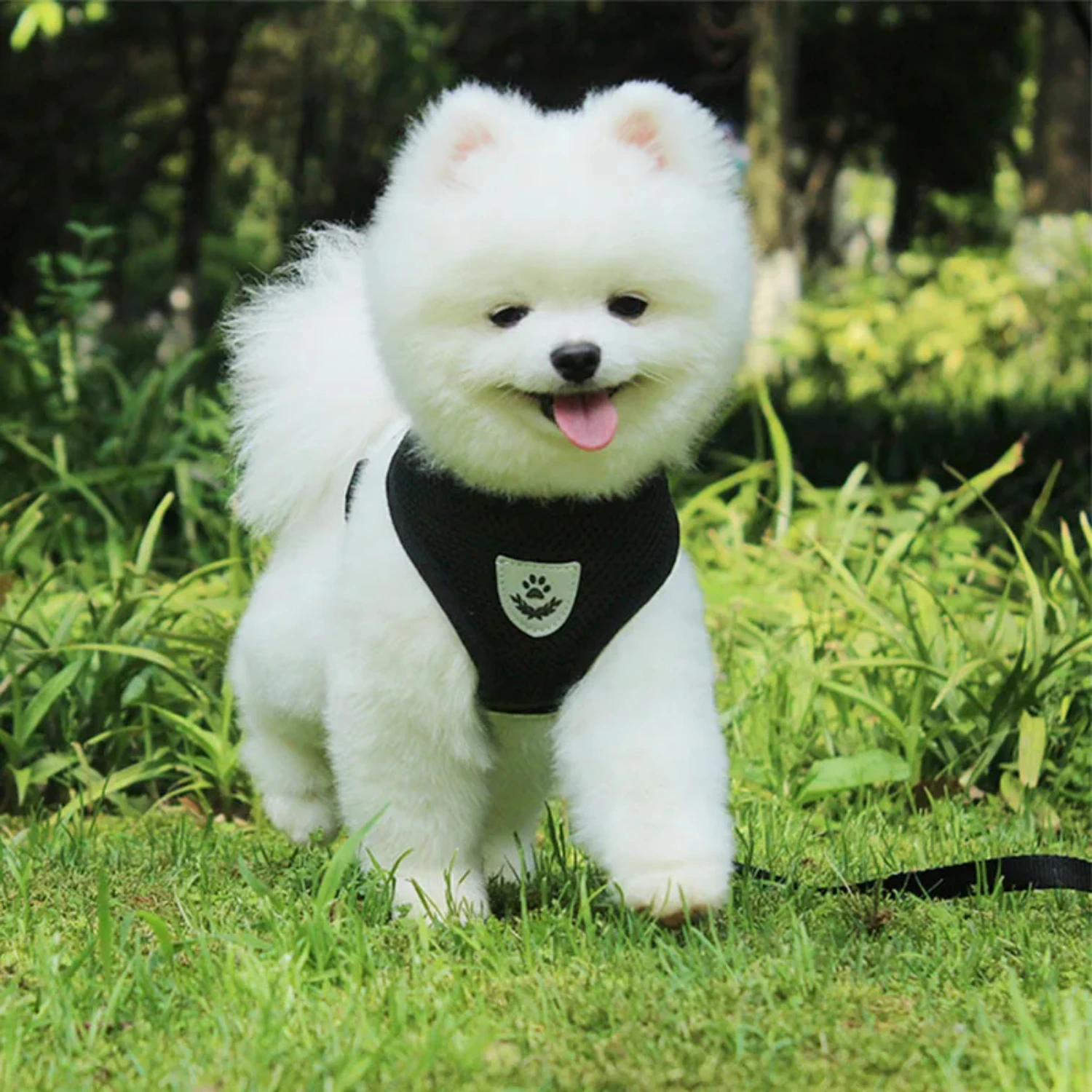 Nylon Mesh Cat Harness And Leash Breathable Kitten Cats Harnesses Small Dog Puppy Harness  French Bulldog Chihuahua Pug