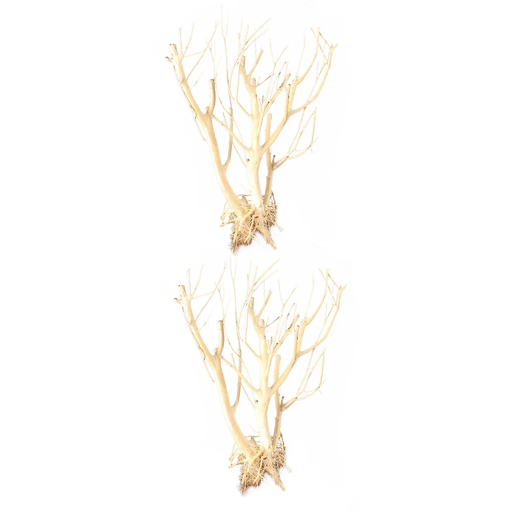 

2pcs Moss Decor Aquarium Twig Natural Aquarium Twig For Fish Tank Landscaping Small Branch Ornament Aquatic Supplies