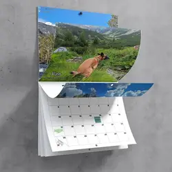 Calendario de pared de perros Pooping divertidos, regalos únicos para amigos con patrón impreso de perro lindo, arte colgante de pared, calendario de bromas, 2025