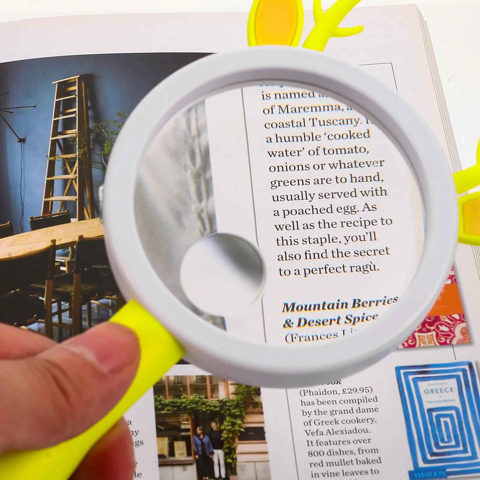 

Портативная лупа для детей и студентов: милый дизайн с ручкой для изучения природы на природе