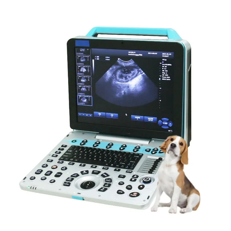 Portable 3d 4d Color Doppler Ultrasound Machine for Animal Applications Laptop Veterinary Color Doppler Ultrasound Scanner