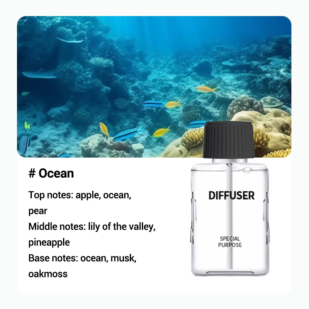 1/3Pcs Essential Oils for Aromatic Diffuser Fragrance Oil Oasis Hotels Home Air Freshener Aroma Oil Room Fragrance Perfume