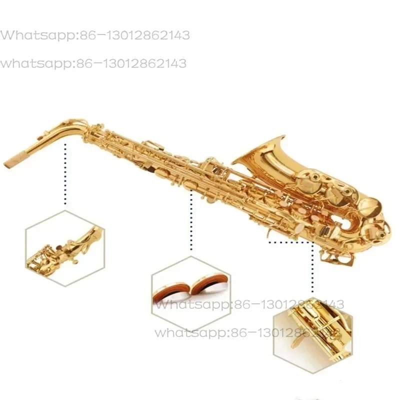 A beginner's E-flat alto saxophone and wind instrument
