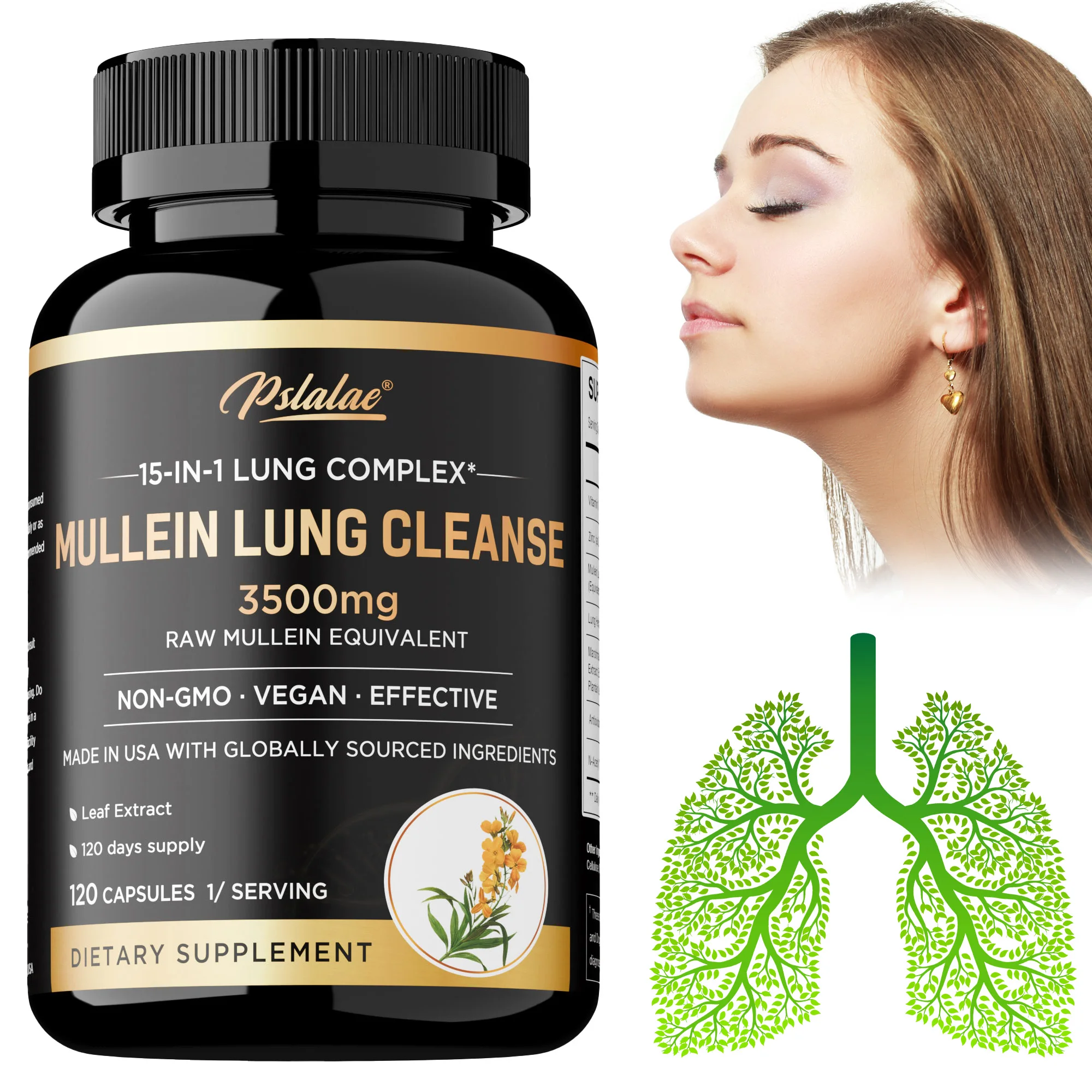 

Очищение легких Mullein — дыхательная добавка для курильщика, вегетарианские капсулы — очистка легких, здоровье легких — 120 капсул