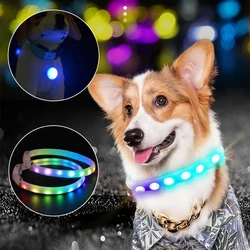 LED Pet Dog Cat Collar Pendant Glowing Night Safety Multiple Colours Collar Safety Flashing Outdoor Loss Prevention Pet Supplies