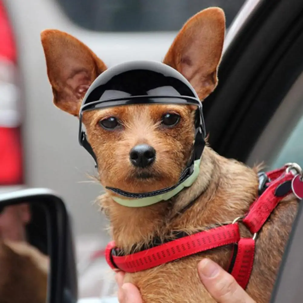 Polyester  Excellent Pet Dog Bike Motorcycle Hard Safety Helmet Attractive Puppy Headwear Ultra-Light   Pet Supplies