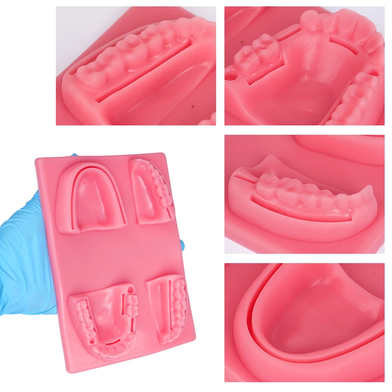 

Dental Oral Gingival Suture Module Silicone Gum Periodontitis Suture Pad Surgical Wounds Teaching Practice Training Model