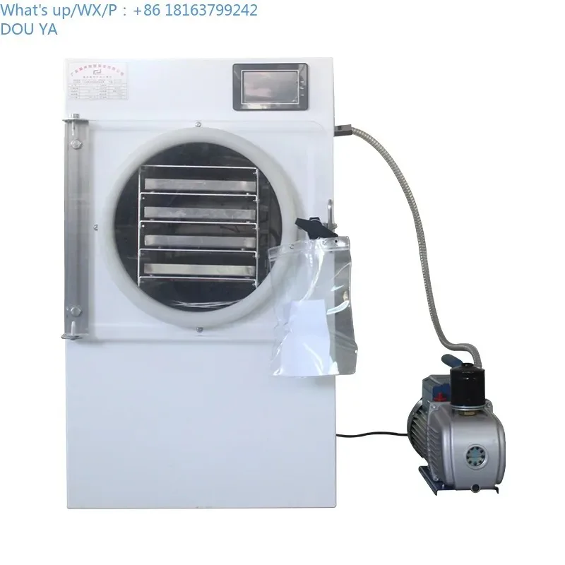 1Kg 2Kg 3Kg 4Kg 10LBS 소형 진공 건조기 미니 가정용 실험실 진공 식품 동결 건조기