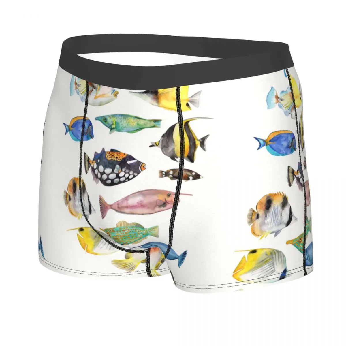 Various Colorful Tropical Fish Men's Boxer Briefs, Highly Breathable Underwear,Top Quality 3D Print Shorts Birthday Gifts