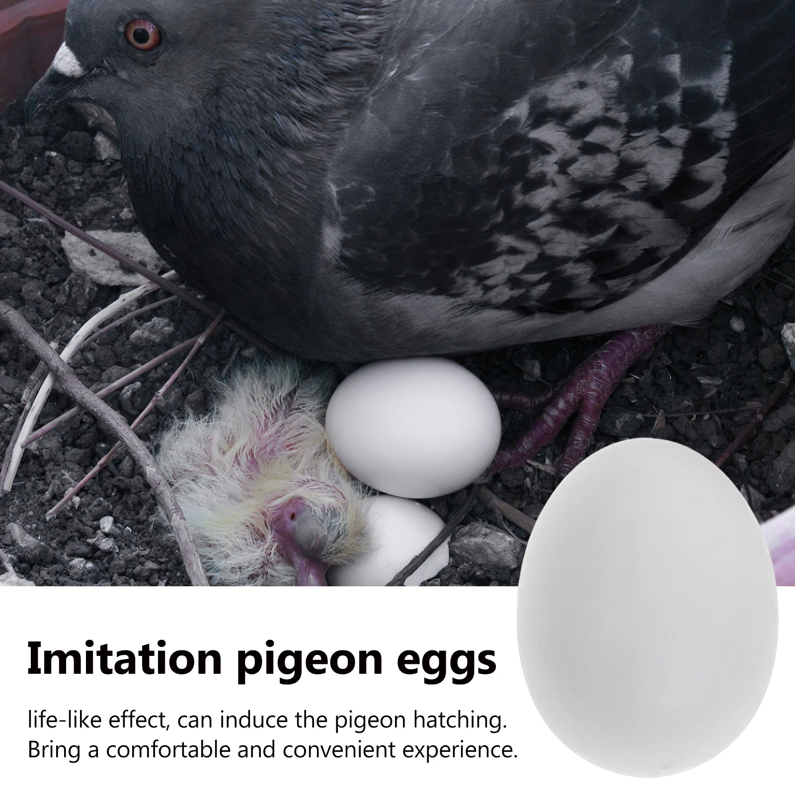 

20pcs Pigeon Eggs Plastic White 3 Pigeon Egg Model 8x2 8cm Simulation Egg Breeding Accessories Sturdy Reusable
