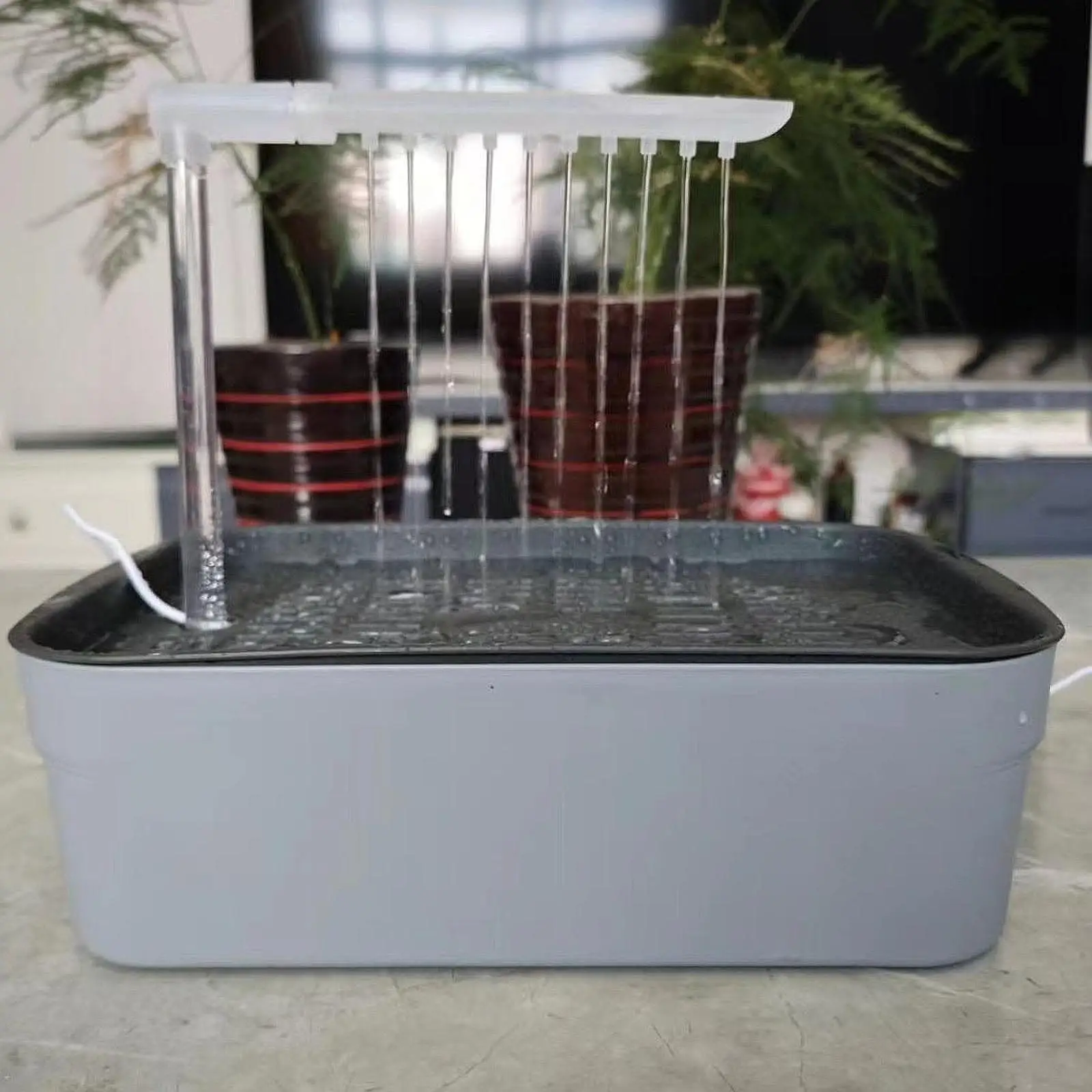 Automatic Pet Bird Bath with USB Cable Easy to Clean Parrot Bathtub for Cockatiel African Grey Water Bowl Lovebirds Budgie