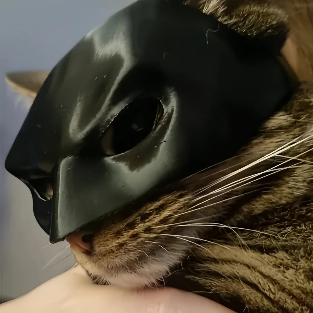 2-teilige Katzen-Avenger-Maske, schwarze Fledermaus-Halloween-Cosplay-Maske, lustige Plastik-Katzen-Party-Kopfbedeckung, Spielzeug, Foto-Requisiten, Haustier-Zubehör – Detail 10