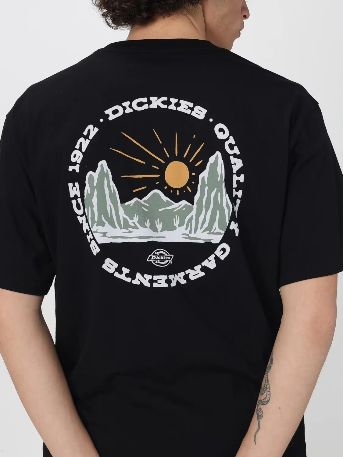 Ropa de tendencia de moda para actividades al aire libre, camisetas de manga corta con estampado de patrón DICKIE de verano de marca de lujo de algodón puro para hombres y mujeres