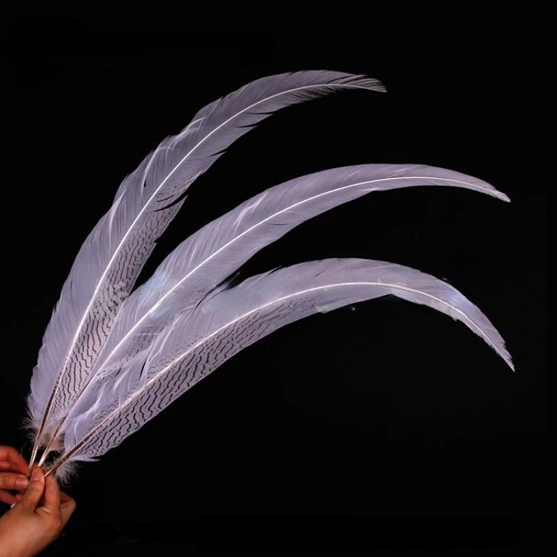 10Pcs/lot White color lady amherst pheasant silver feather 30-55cm long silver white chicken tail Feathers feathers decoration