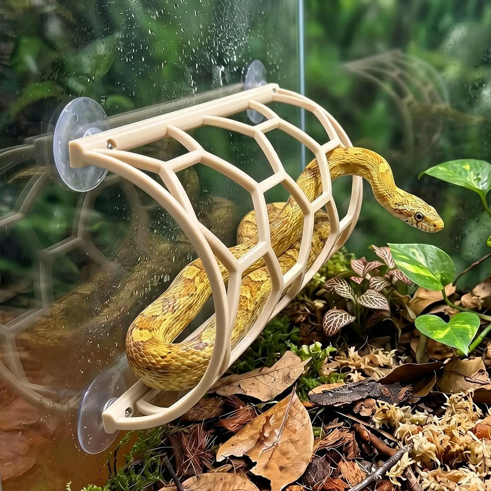 Snake Climbing Accessories Suction Reptile Climbing Enrichment Snake Enrichment Terrarium Shelf For Reptile Bearded Dragon