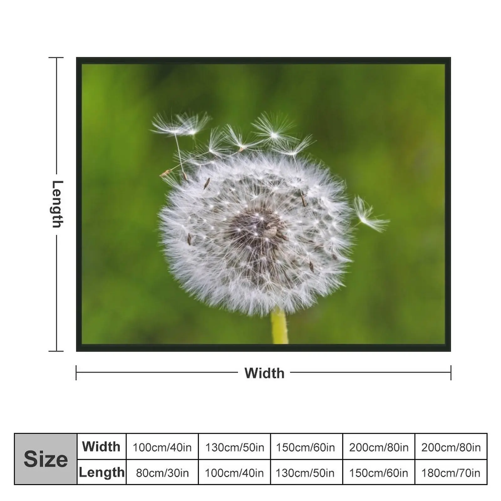 Gift idea dandelion photo Throw Blanket valentine gift ideas Retros Blankets