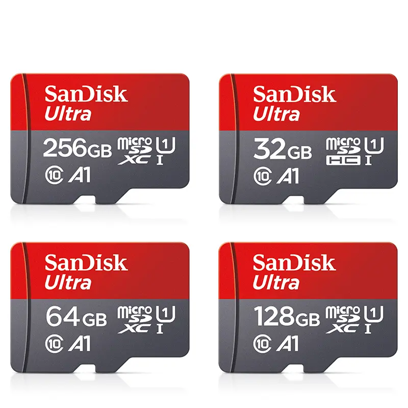 כרטיס זיכרון SanDisk Micro SD Class 10