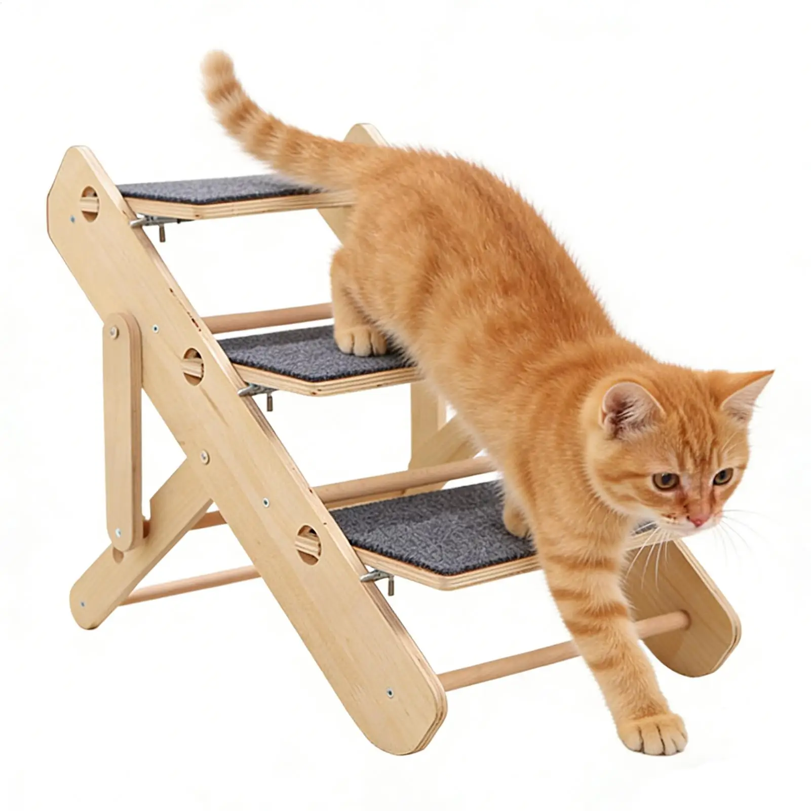 #8 Compare Puppy Ramps Before You Buy