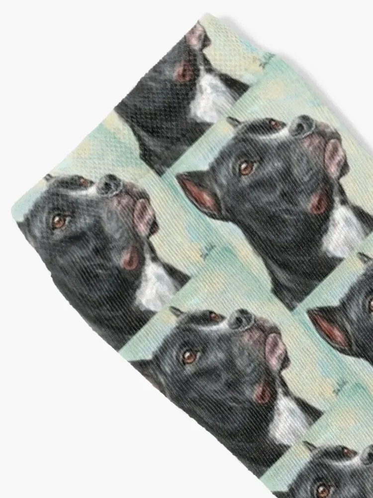 Painting of a Black Pit Bull Looking into the Horizon, on light Blue Yellow Background Socks warm winter Socks Women Men's